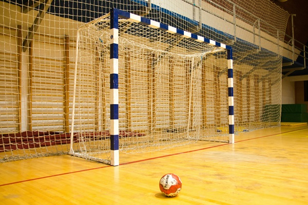 Vignette d'illustration de la section Handball